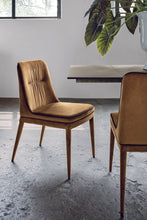 Učitajte sliku u preglednik galerije, Stolica Dallas