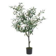 Učitajte sliku u preglednik galerije, Cvijeće će osvježiti i uljepšati svaki ambijent a biljke će dočarati prirodan osjećaj u tvoj domu! Ako volite egzotičan stil, ispunjen živim bojama, zelenilom i motivima prirode onda u su cvijeće, zelene biljke, kaktusi I drvca pravi izbor za vas! Orhideje, ruže, magnolije, kale I mnogo drugo živopisno cvijeće I bilje u dom unose dašak prirode, koje će godinama biti svježe.