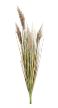 Učitajte sliku u preglednik galerije, Grana Gynerium Pampas H100 cm
