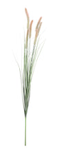 Učitajte sliku u preglednik galerije, Grana Pennisetum H150 cm
