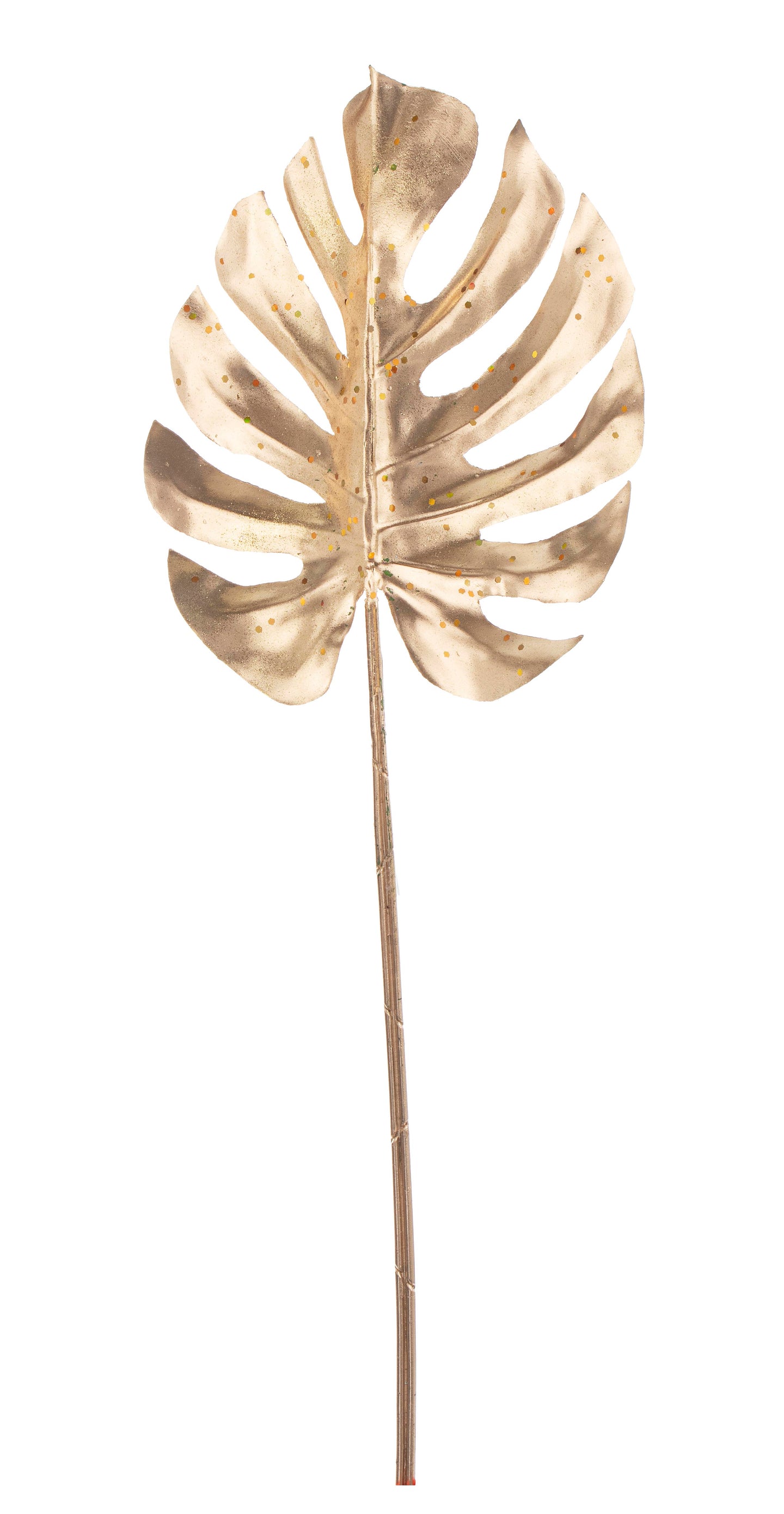 Grana list Stephany Filodendron zlatna 70h cm