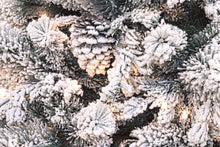 Učitajte sliku u preglednik galerije, Snježna jelka Arves sa lampicama 210 cm
