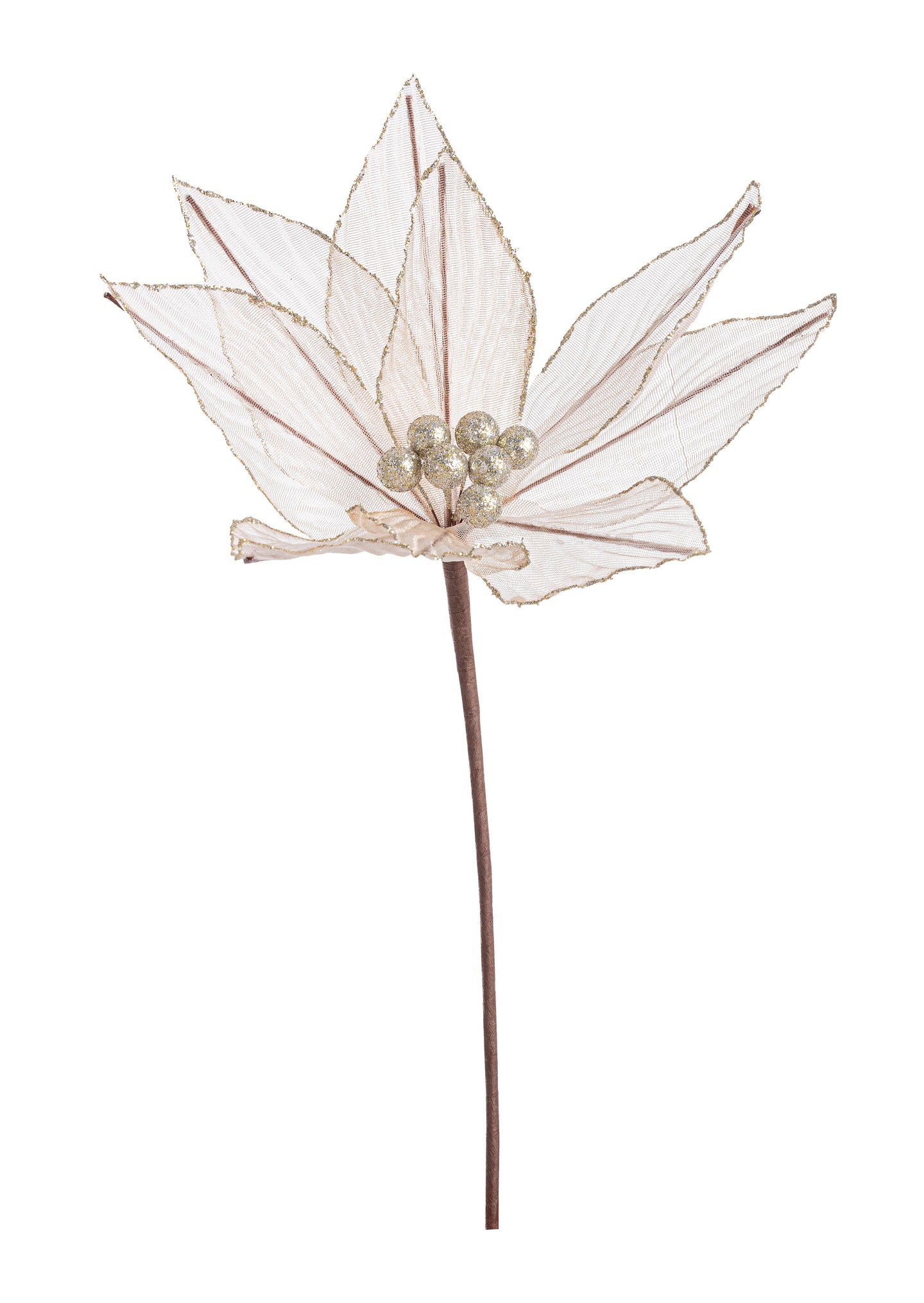 Cvijet za jelku Olympias šampanj 25x25 cm