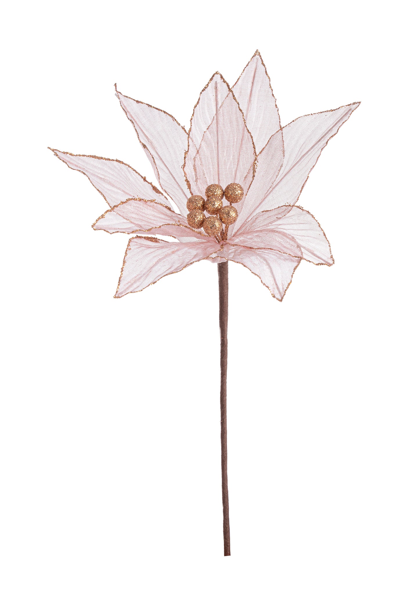 Cvijet za jelku Olympias crveno zlatna  25x25 cm