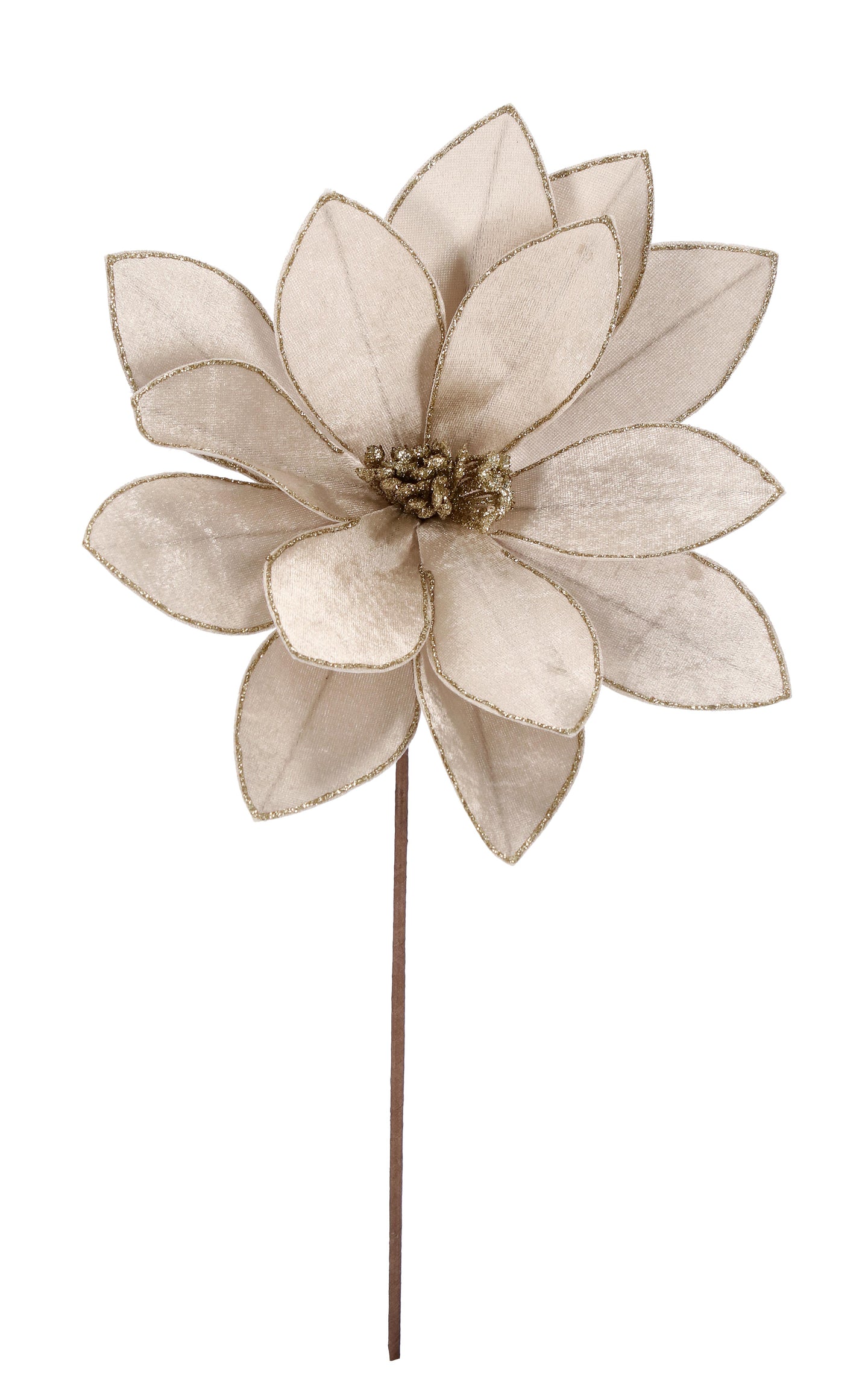 Cvijet za jelku Calipso Champagne 34x50 cm