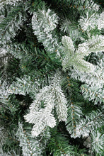 Učitajte sliku u preglednik galerije, Jelka slim Cooper 240h cm
