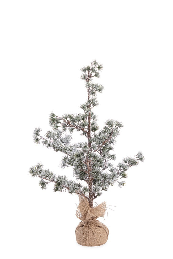 Mini jelka Sneffels 75h cm