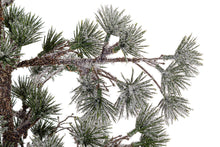 Učitajte sliku u preglednik galerije, Mini jelka Sneffels 90h cm
