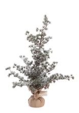 Učitajte sliku u preglednik galerije, Mini jelka Sneffels 90h cm
