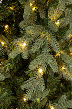 Učitajte sliku u preglednik galerije, Jelka Wither sa lampicama 180 cm
