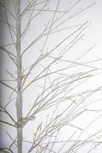 Učitajte sliku u preglednik galerije, Novogodišnje drvo Bunch 2000 mikroled lampica 210h cm
