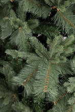 Učitajte sliku u preglednik galerije, Jelka Hubbard 270 cm
