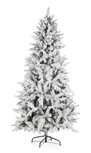 Učitajte sliku u preglednik galerije, Snježna jelka Harvard 270 cm
