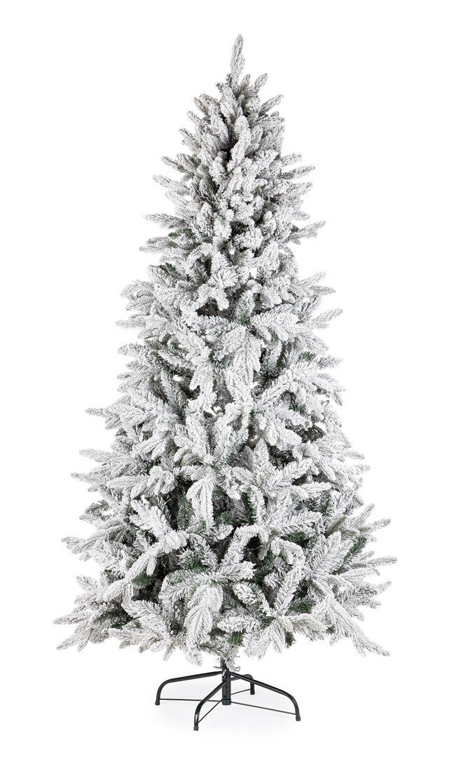 Snježna jelka Harvard 270 cm