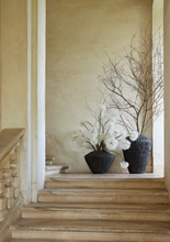 Učitajte sliku u preglednik galerije, Grana maslačka Jumbo 70h cm
