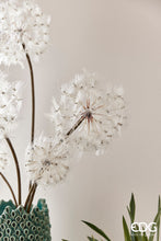 Učitajte sliku u preglednik galerije, Grana maslačka Jumbo 70h cm
