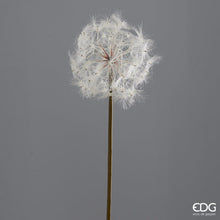 Učitajte sliku u preglednik galerije, Grana maslačka Jumbo 90h cm
