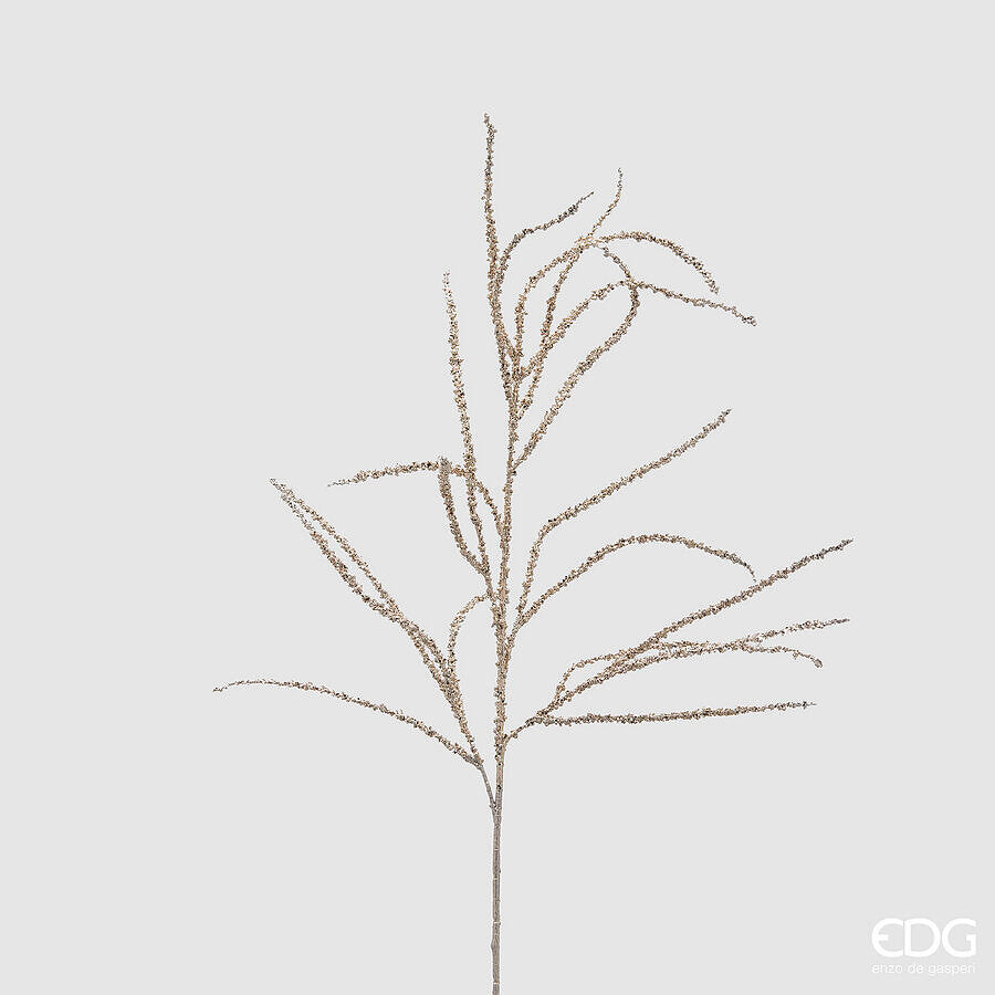 Grana Amaranthus Platinum 81h cm