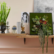 Učitajte sliku u preglednik galerije, Grana Sedum H80 cm svijetlo zelena
