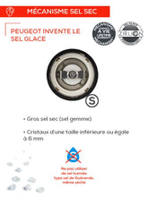 Učitajte sliku u preglednik galerije, Peugeot set od dva mlina za so i biber svijetli Paris u'Select 18 cm
