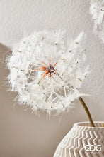 Učitajte sliku u preglednik galerije, Grana maslačka Jumbo 70h cm
