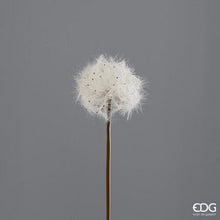 Učitajte sliku u preglednik galerije, Grana maslačka Jumbo 70h cm
