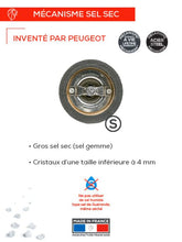 Učitajte sliku u preglednik galerije, Peugeot ručni mlin za so Paris 12 cm
