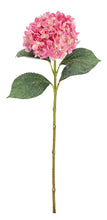 Učitajte sliku u preglednik galerije, Cvijet Ortensia Cherilyn rozi 67 cm
