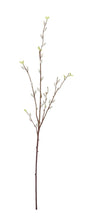 Učitajte sliku u preglednik galerije, Ukrasna grana Elaeagnus bijela 96 cm
