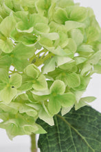Učitajte sliku u preglednik galerije, Cvijet Ortensia Cherilyn zeleni 47 cm
