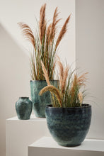 Učitajte sliku u preglednik galerije, Biljka Austorderia pampas 90h cm
