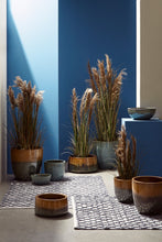 Učitajte sliku u preglednik galerije, Biljka Austorderia pampas 90h cm
