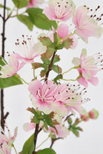 Učitajte sliku u preglednik galerije, Cvijet ruža Cyndi 20x94h cm
