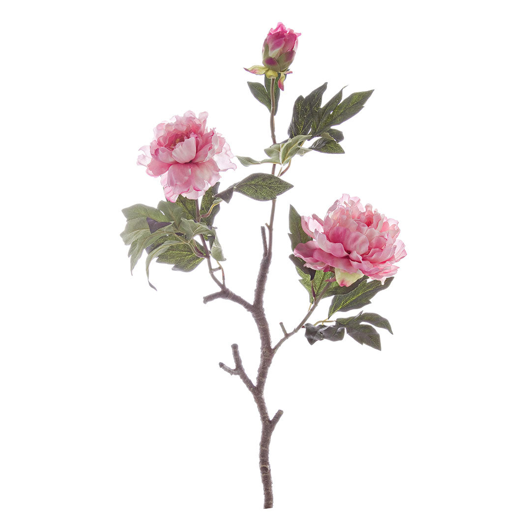 Božuri u zadnjih nekoliko godina doživljavaju veliku popularnosti. Jedan je od najfotogeničnijih cvjetova, a posebnu ljepotu postižu kada se složi u buketu. Božuri krase sa stilom uređeni enterijer, savršen saveznik finih dekoracija poput vaza. 
Dimenzija: 76 cm 
Materija: tkanina, polietilen, žica 
Boja: roza