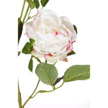 Učitajte sliku u preglednik galerije, Grana ruže rustična
