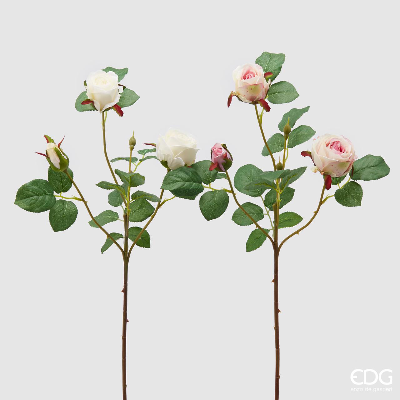 Grana ruže Olga bijela/roza 62 cm
