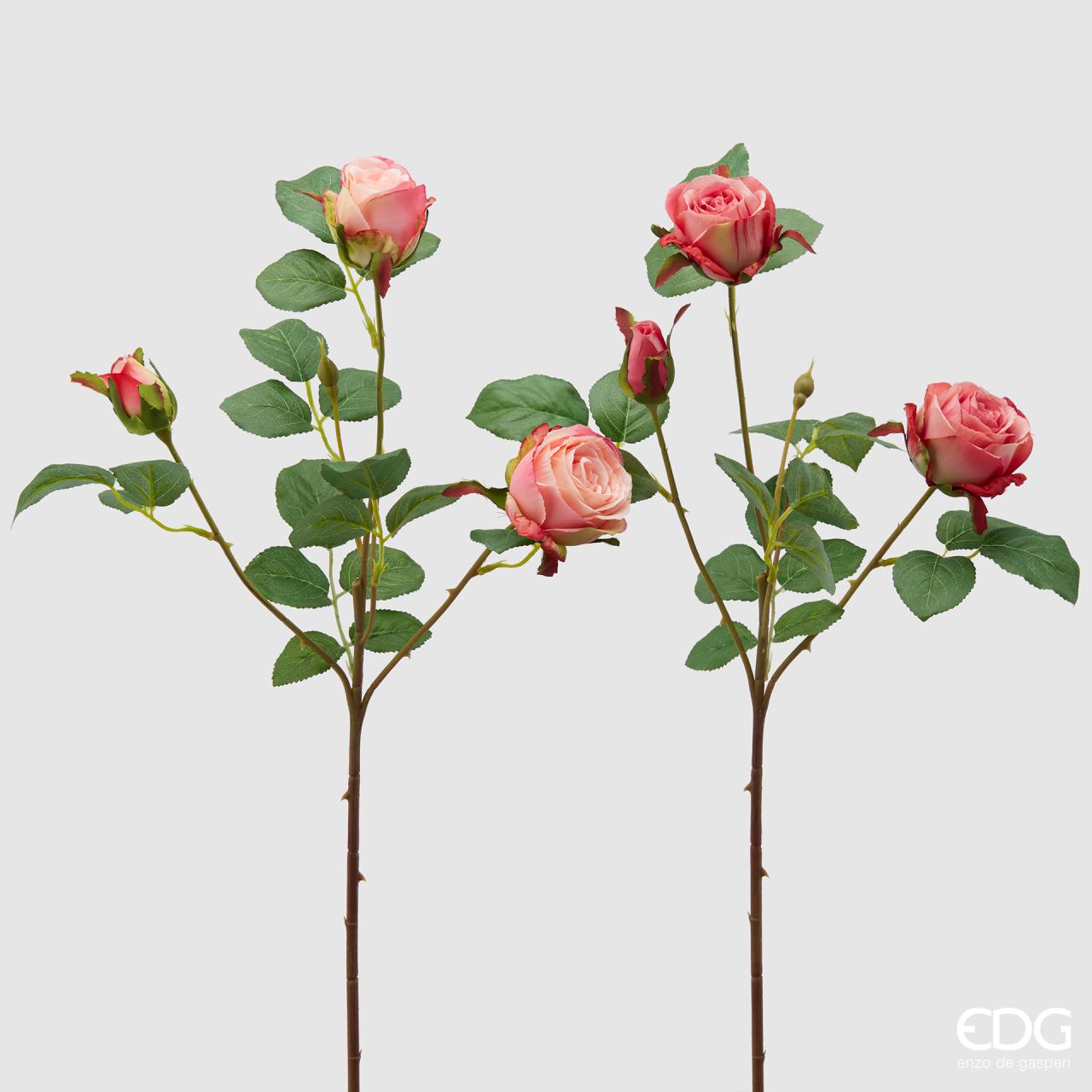 Grana ruže Olga roza 62 cm