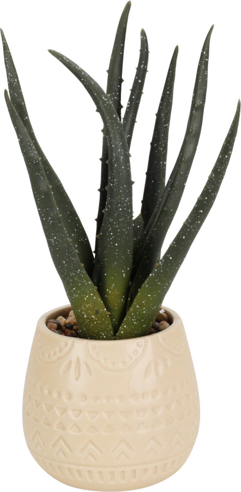 Aloe Vera u saksiji 9x28 cm